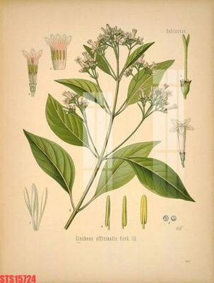 File ảnh Tranh sơn dầu phương tây tổng hợp STS15724 (gốc) in PP, decal