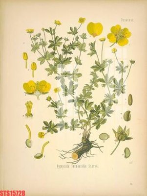 Tải file gốc Tranh sơn dầu phương tây tổng hợp STS15728 (bản PSD) còn layer