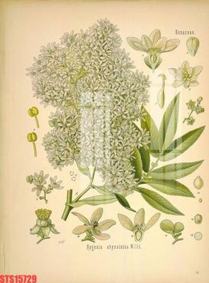 File tranh gốc Tranh sơn dầu phương tây tổng hợp STS15729 (sắc nét từng chi tiết)