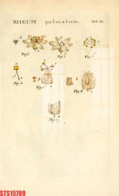 File gốc in ấn Tranh sơn dầu phương tây tổng hợp STS15789 chuẩn màu CMYK