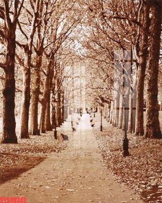 File gốc Tranh sơn dầu phương tây tổng hợp STS16242 (ảnh rõ nét) để in