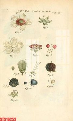 Download file Tranh sơn dầu phương tây tổng hợp STS16253 (gốc) cho xưởng in