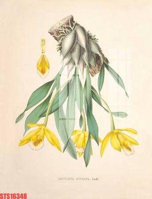 Tải file Tranh sơn dầu phương tây tổng hợp STS16348 (ảnh gốc) file TIFF