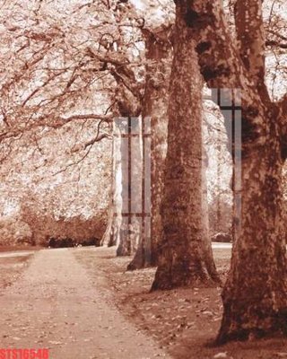 File in ấn cao cấp Tranh sơn dầu phương tây tổng hợp STS16548 (file gốc)