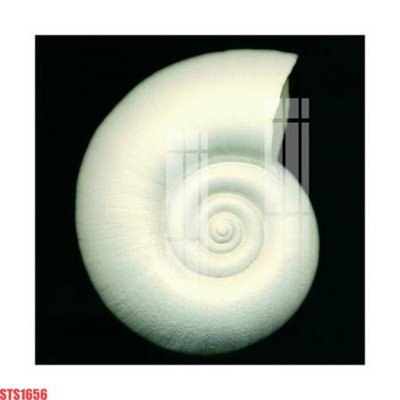 Tệp tin gốc Tranh sơn dầu phương tây tổng hợp STS1656 (dùng cho in) Tranh sơn dầu phương tây tổng hợp STS1656