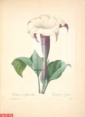 Tải file gốc Tranh sơn dầu phương tây tổng hợp STS1673 (in bạt) quảng cáo