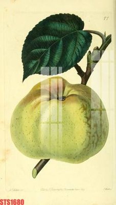 File gốc Tranh sơn dầu phương tây tổng hợp STS1680 (in lụa) chi tiết cao