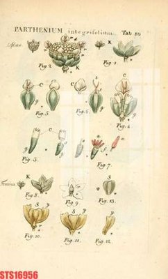 File tranh Tranh sơn dầu phương tây tổng hợp STS16956 (bản gốc) trang trí văn phòng