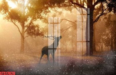 Ảnh gốc Tranh sơn dầu phương tây tổng hợp STS17020 (nét căng) in mica