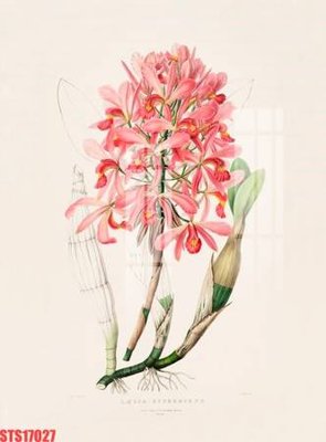 File in ấn Tranh sơn dầu phương tây tổng hợp STS17027 (bản gốc) cao cấp