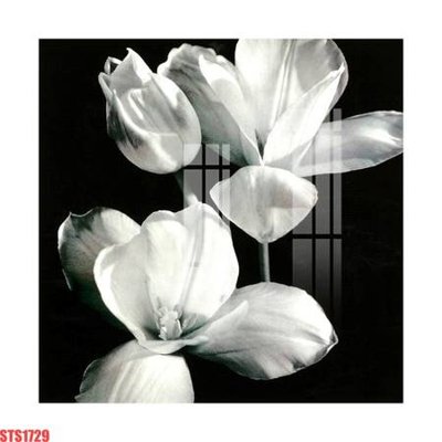 File gốc Tranh sơn dầu phương tây tổng hợp STS1729 (in tráng gương) nghệ thuật