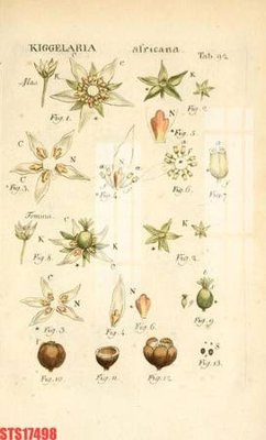 Tải file Tranh sơn dầu phương tây tổng hợp STS17498 (PSD) cho in tranh 3D