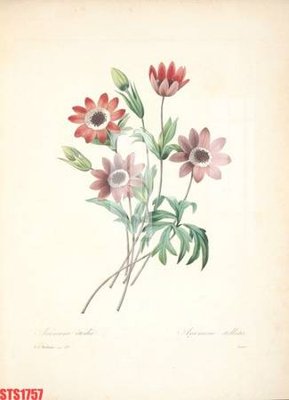 File ảnh gốc Tranh sơn dầu phương tây tổng hợp STS1757 (chuyên in mica)