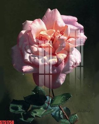 File gốc Tranh sơn dầu phương tây tổng hợp STS1758 (in tráng gương) hiện đại