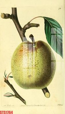 File in trần Tranh sơn dầu phương tây tổng hợp STS1764 (bản gốc) mây trời