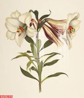 File gốc Tranh sơn dầu phương tây tổng hợp STS17652 (in mica) làm quà tặng