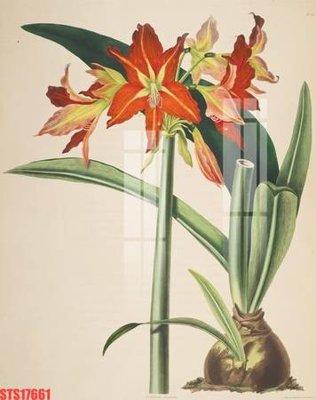 File in lụa Tranh sơn dầu phương tây tổng hợp STS17661 (tân cổ điển) Tranh sơn dầu phương tây tổng hợp STS17661