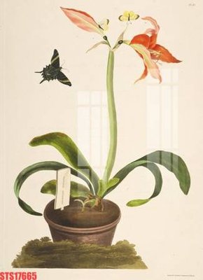 File tranh gốc Tranh sơn dầu phương tây tổng hợp STS17665 (bản quyền) Filetranh.com