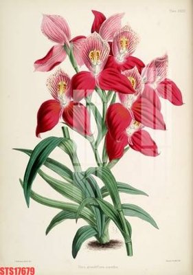 File tranh Tranh sơn dầu phương tây tổng hợp STS17679 (ảnh gốc) cho in ấn kỹ thuật số