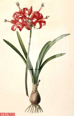 Download file Tranh sơn dầu phương tây tổng hợp STS17685 (gốc) in mica cao cấp