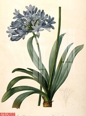 Tải file gốc Tranh sơn dầu phương tây tổng hợp STS17686 (in bạt) quảng cáo