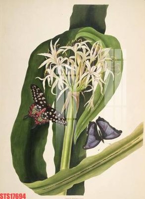 File gốc Tranh sơn dầu phương tây tổng hợp STS17694 (in mica) trang trí