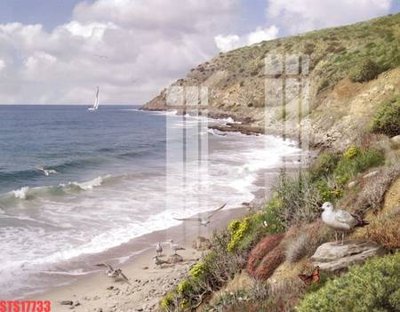 File PSD in ấn Tranh sơn dầu phương tây tổng hợp STS17733 (chất lượng cao)