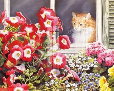 Ảnh gốc Tranh sơn dầu phương tây tổng hợp STS17787 (nét căng) in mica