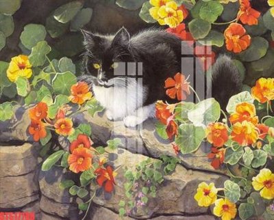 File tranh Tranh sơn dầu phương tây tổng hợp STS17788 (bản gốc) in lụa 5D