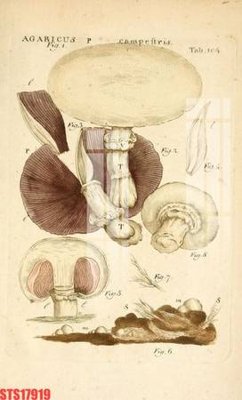 Mua file gốc Tranh sơn dầu phương tây tổng hợp STS17919 (in ấn) tại Filetranh.com