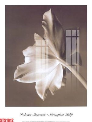 File tranh Tranh sơn dầu phương tây tổng hợp STS1812 (bản gốc) in lụa dán tường