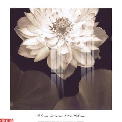 Download file Tranh sơn dầu phương tây tổng hợp STS1814 (gốc) in mica đèn LED