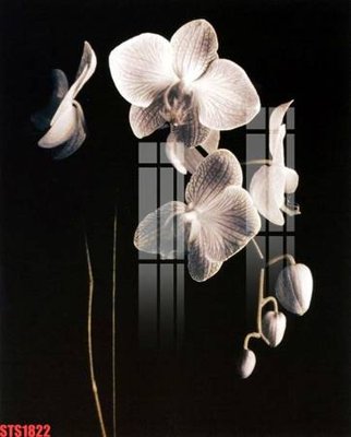 File in ấn Tranh sơn dầu phương tây tổng hợp STS1822 chuyên nghiệp