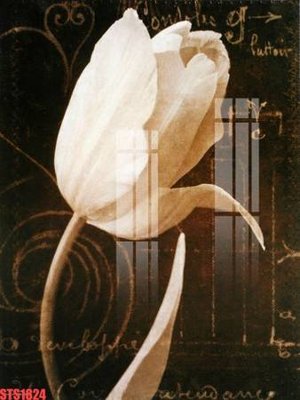 Ảnh gốc Tranh sơn dầu phương tây tổng hợp STS1824 (độ nét cao) in mica