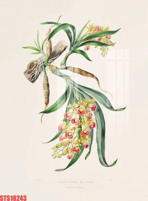 Tải về file tranh gốc Tranh sơn dầu phương tây tổng hợp STS18243 (để in quảng cáo)