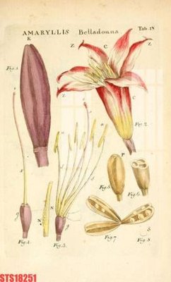 File gốc Tranh sơn dầu phương tây tổng hợp STS18251 (trang trí) phòng trẻ em