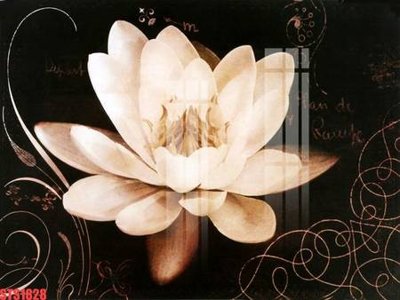 File tranh Tranh sơn dầu phương tây tổng hợp STS1828 (gốc) in trên kính