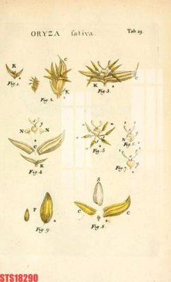 Tải file tranh Tranh sơn dầu phương tây tổng hợp STS18290 (gốc) tại Filetranh.com