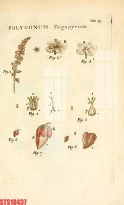 Tải file Tranh sơn dầu phương tây tổng hợp STS18437 (ảnh gốc) in tranh kính