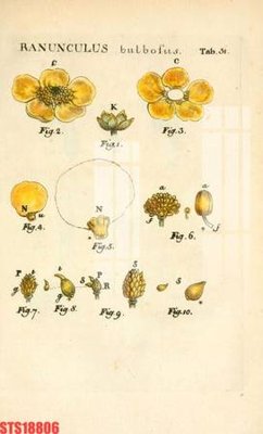 File gốc Tranh sơn dầu phương tây tổng hợp STS18806 (in ấn) không giới hạn