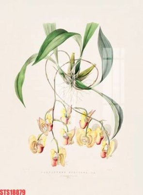 File in trần Tranh sơn dầu phương tây tổng hợp STS18879 (bản gốc 3D) sống động