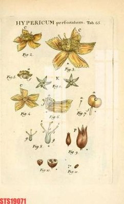 Tải file Tranh sơn dầu phương tây tổng hợp STS19071 (ảnh gốc) file AI/EPS