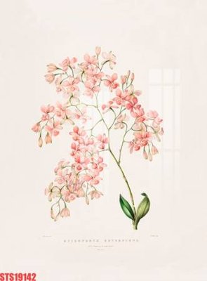 File tranh Tranh sơn dầu phương tây tổng hợp STS19142 (ảnh gốc) độ nét vượt trội