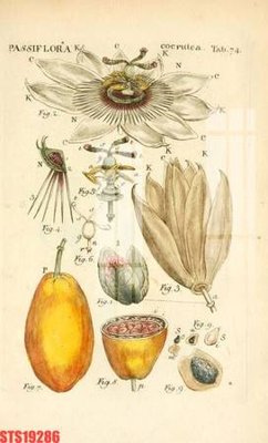 Tải file Tranh sơn dầu phương tây tổng hợp STS19286 (gốc) làm file tranh quảng cáo