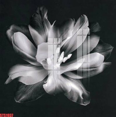 File gốc in ấn Tranh sơn dầu phương tây tổng hợp STS1937 chuẩn màu CMYK