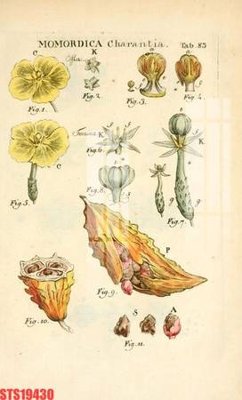 Tải file Tranh sơn dầu phương tây tổng hợp STS19430 (PSD) cho in tranh kính