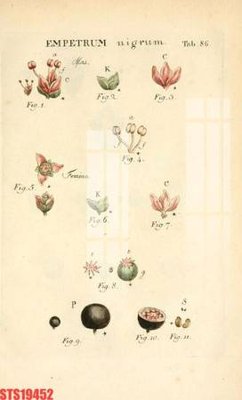 Tải file Tranh sơn dầu phương tây tổng hợp STS19452 (PSD) cho in tranh kính