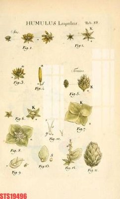 Download file Tranh sơn dầu phương tây tổng hợp STS19496 (gốc) in mica ốp bếp