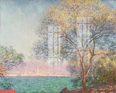 File tranh Tranh sơn dầu phương tây tổng hợp STS19528 (gốc) in film