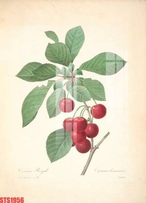 Tải file Tranh sơn dầu phương tây tổng hợp STS1956 (ảnh gốc) file AI/EPS